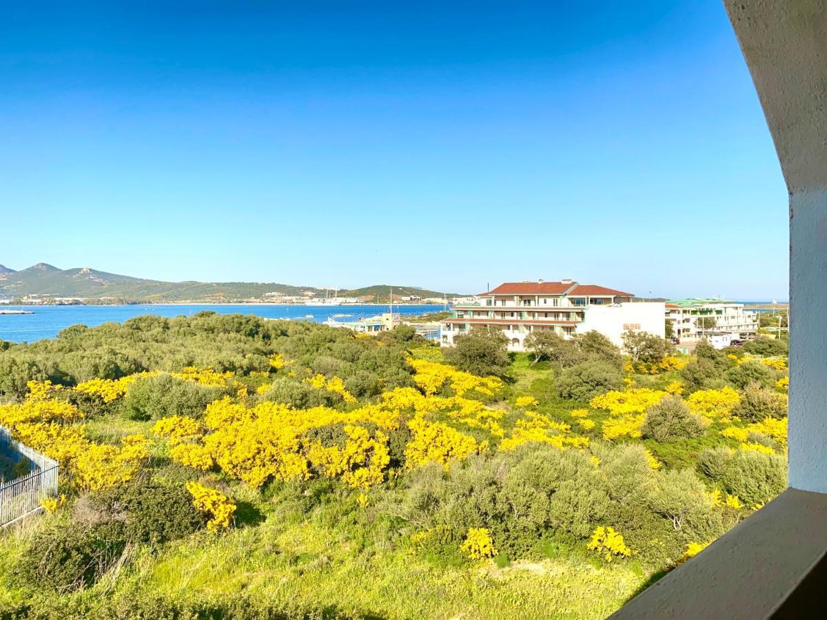 Homey Experience - Navy Sea View Apartments Olbia Ngoại thất bức ảnh